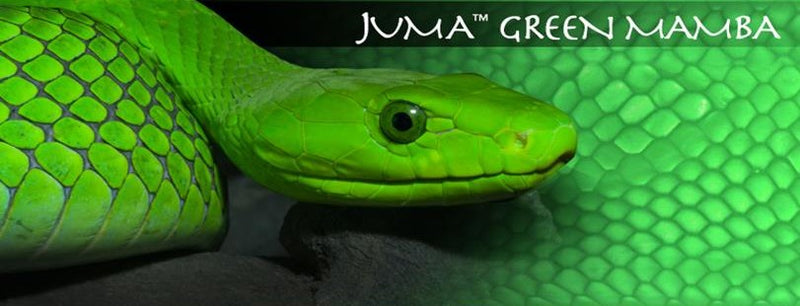 Juma - Exotic Rods