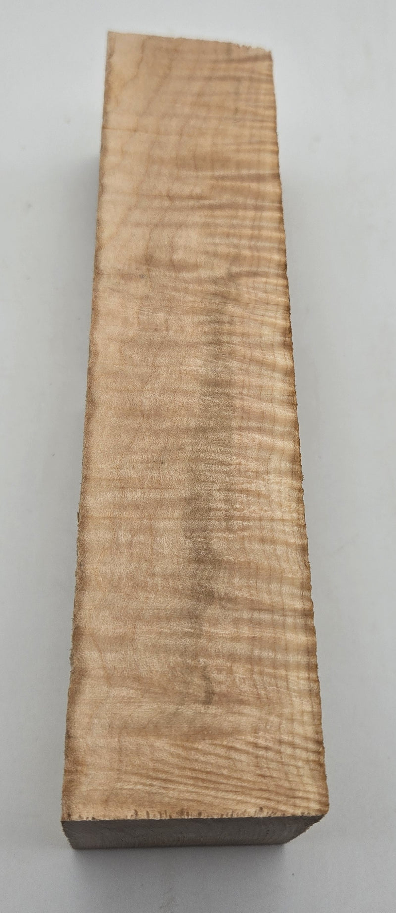 Curly Maple - Acer Saccharum