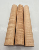 Curly Maple - Acer Saccharum