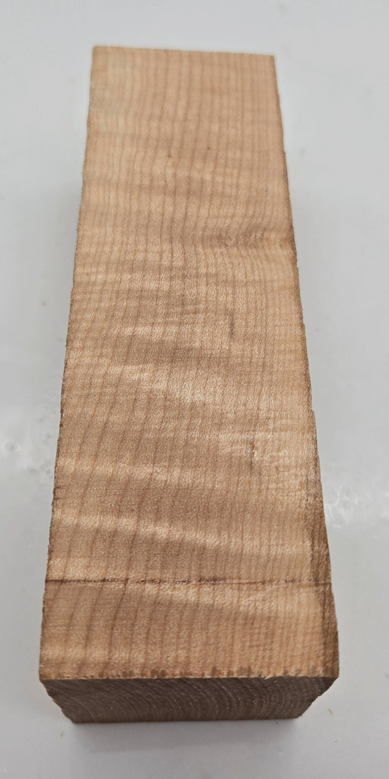 Curly Maple - Acer Saccharum