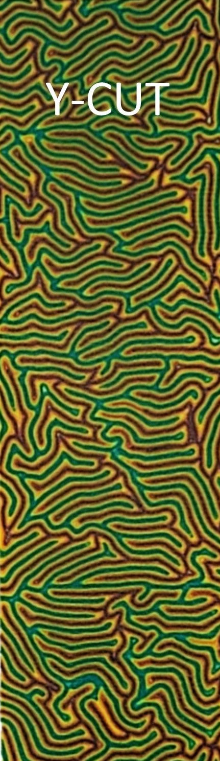 CrazyFiber™ - Groovy Gremlin