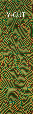 CrazyFiber™ - Groovy Gremlin