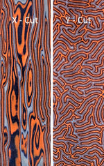 CrazyFiber™ - Wild Tiger