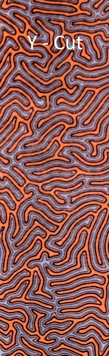 CrazyFiber™ - Wild Tiger