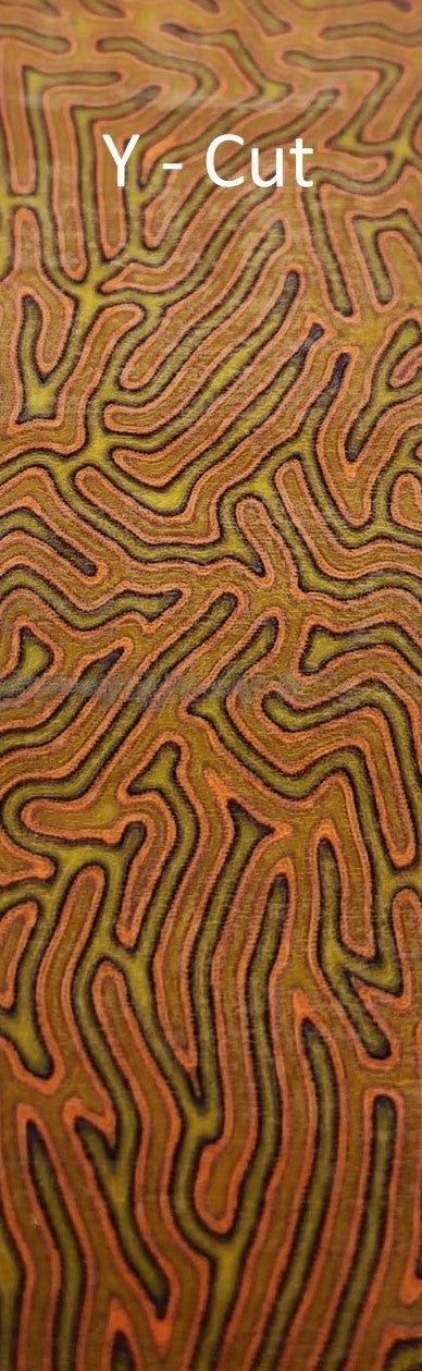 CrazyFiber™ - Pumpkin Spice