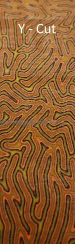 CrazyFiber™ - Pumpkin Spice