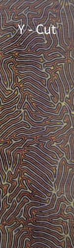 CrazyFiber™ - Python