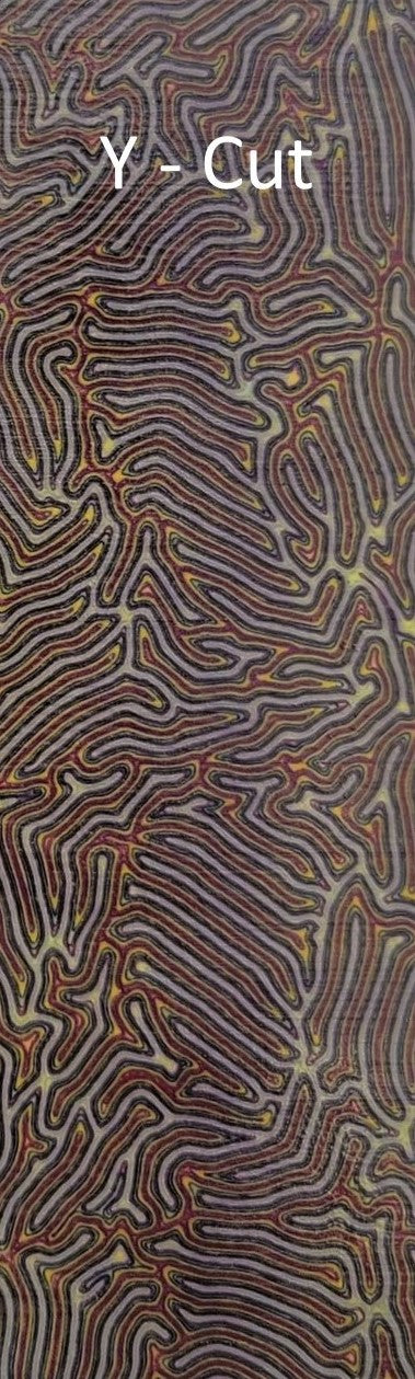 CrazyFiber™ - Python