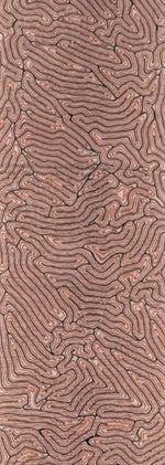 CrazyFiber™ - Desert Storm