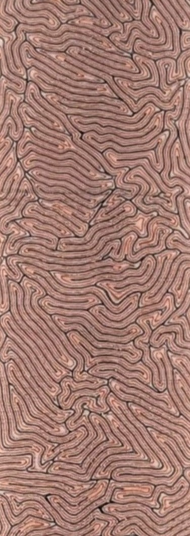 CrazyFiber™ - Desert Storm