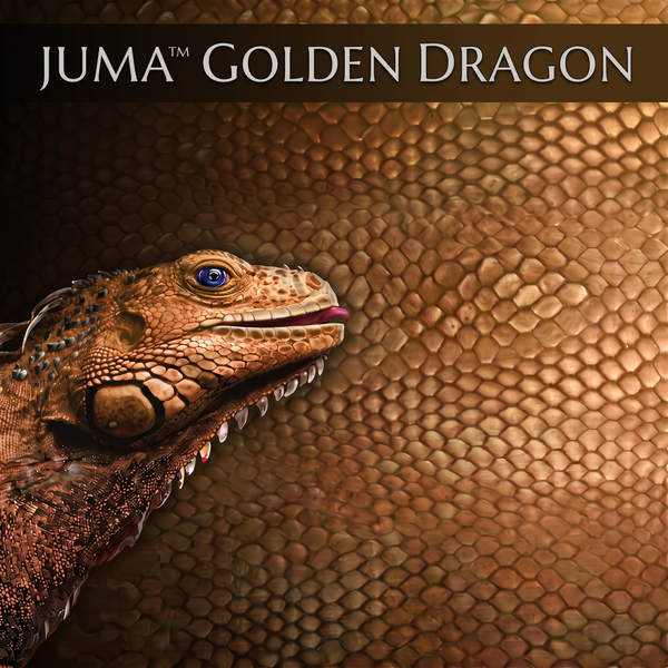 Juma - Flat Exotic Golden Dragon