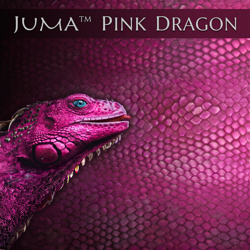 Juma - Flat Exotic Pink Dragon