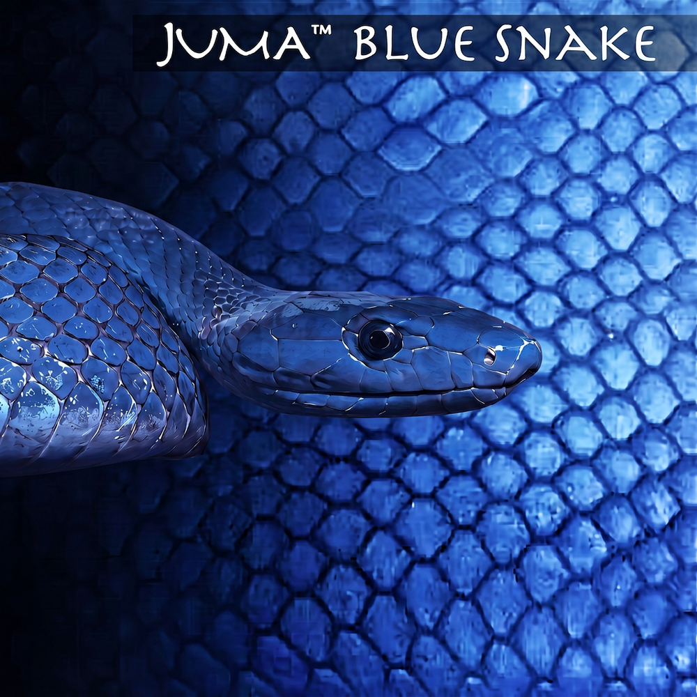 Juma - Block Exotic