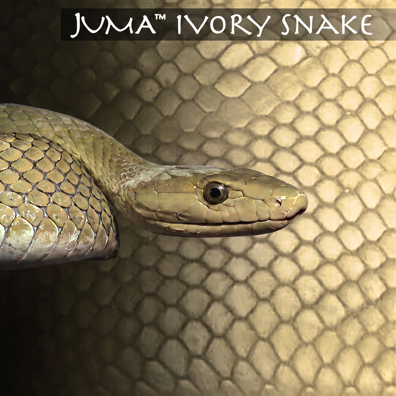 Juma - Block Exotic