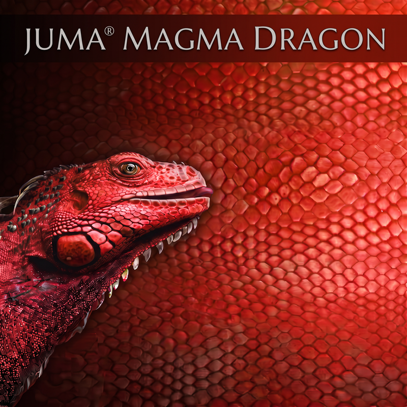 Juma - Block Exotic