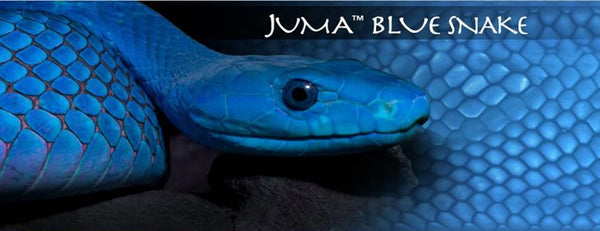 Juma Exotic Blocks & Squares