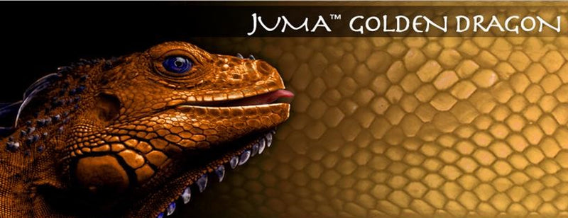 Juma Exotic Blocks & Squares