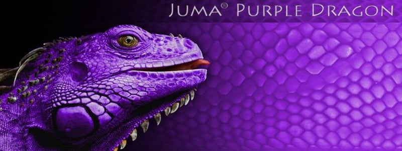 Juma Exotic Blocks & Squares