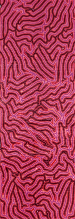 CrazyFiber™ - Razzberry Ice