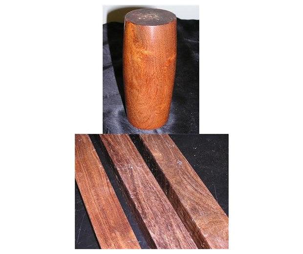 Black Mesquite - Prosopis