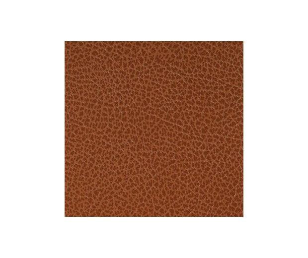 Bull Embossed Brown Leather - Tiger