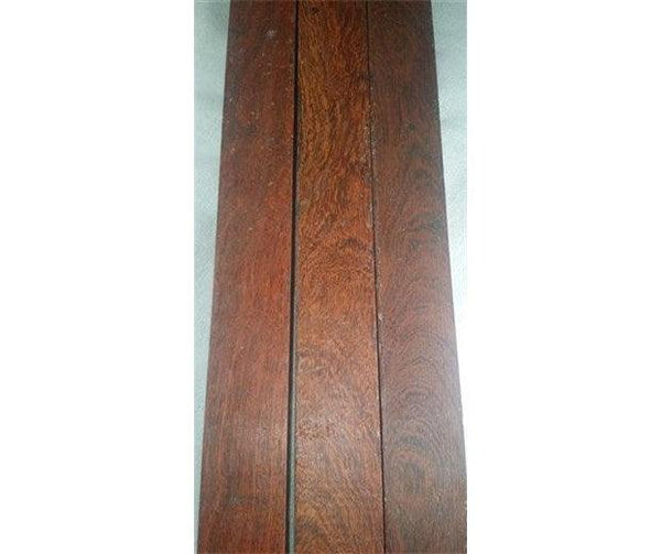 Camel Thorn - Vachellia Erioloba