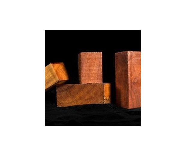 Osage Orange - Maclura Tinctoria