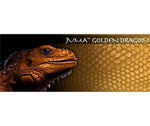 Juma - Golden Dragon