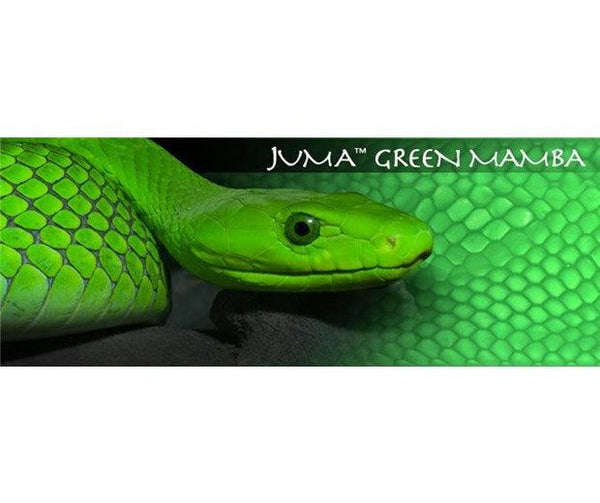Juma - Green Mamba