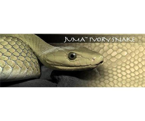 Juma - Ivory Snake