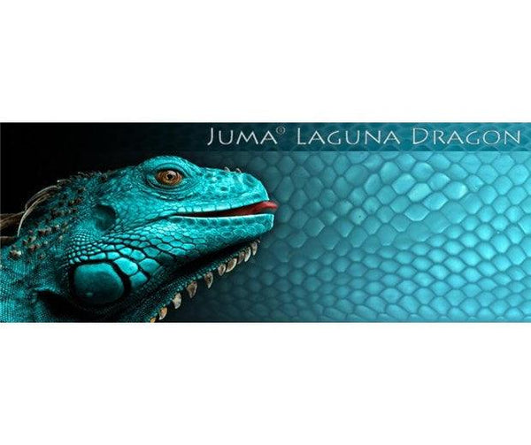 Juma - Laguna Dragon