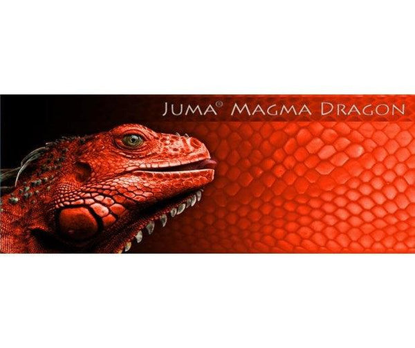 Juma -Magma Dragon
