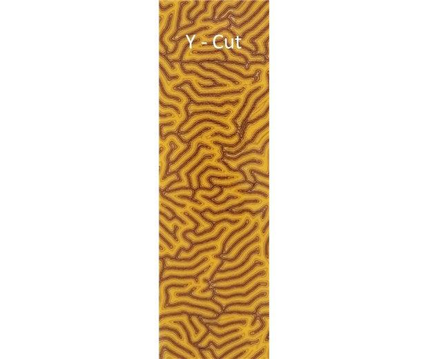 CrazyFiber - Mustard Custard